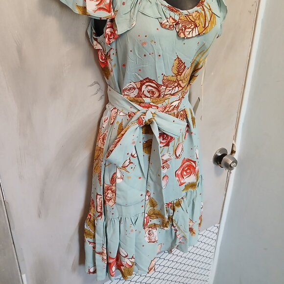 Uncle Frank Aqua Rose Dress - Picture 11 of 14